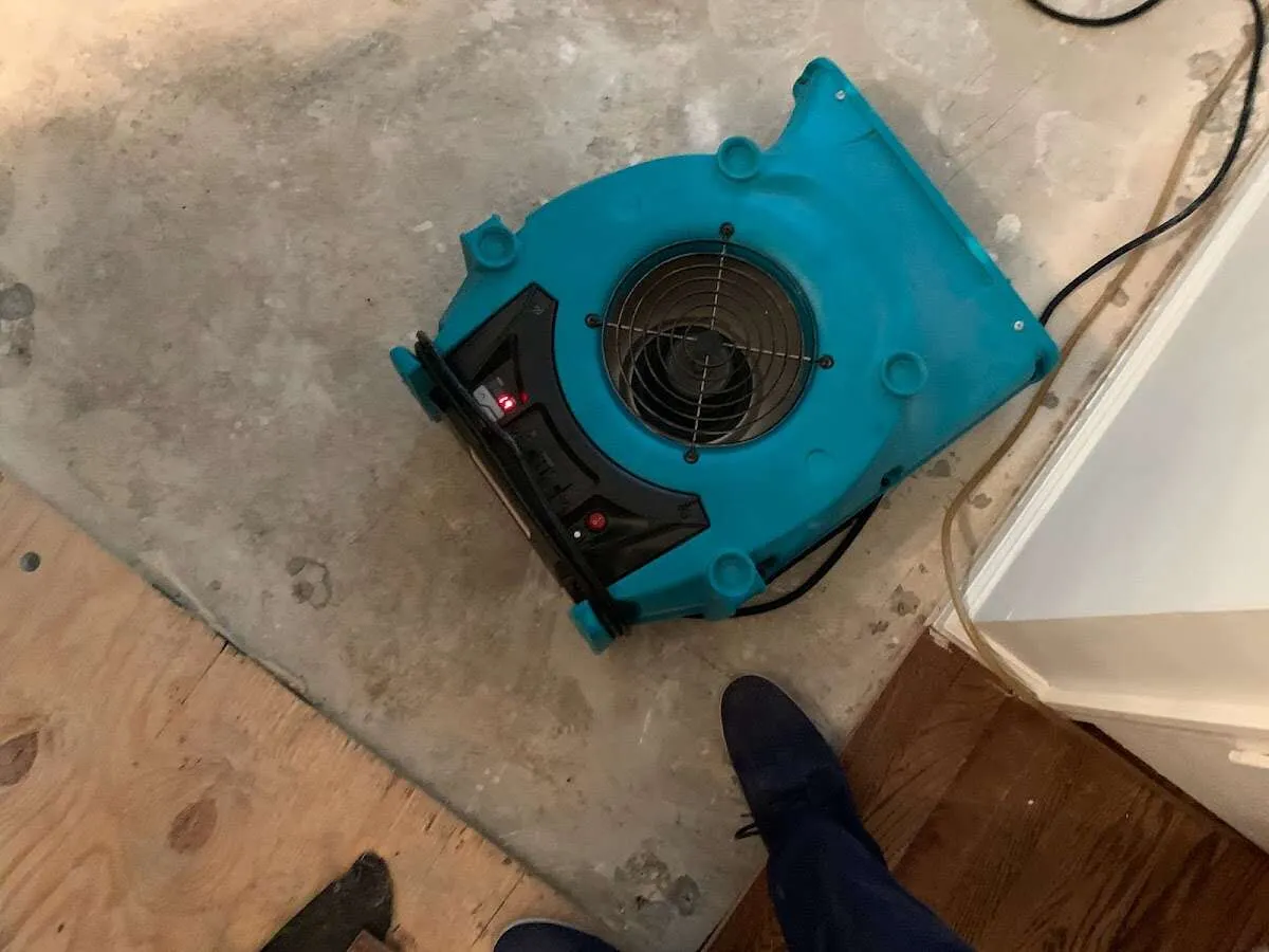 Air mover drying subfloor during Commercial Water Damage Restoration in Plattsmouth